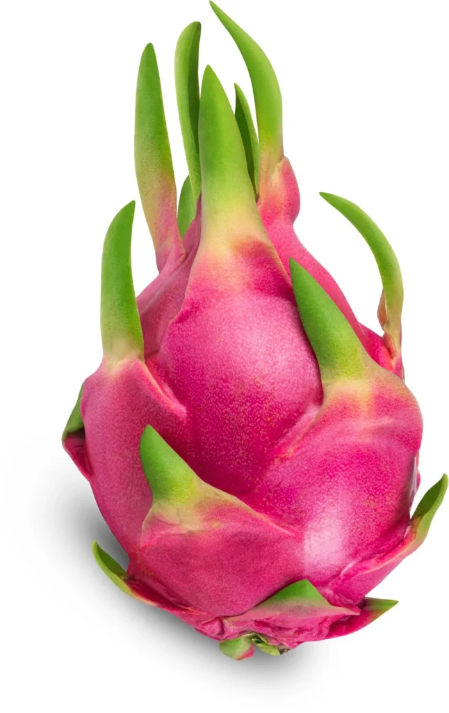 Medium-VIETNAM_FRUITDUDRAGON_ENTIER